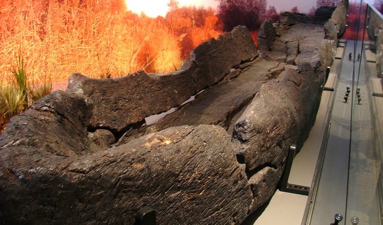 Iron Age logboat