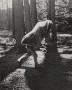 Hiding Figure 2