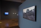 The curator is stuck, Matthew Chesney