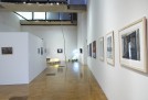 Gallery View