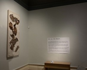 Art for the People: contemporary reflections on the Usher Gallery’s archive