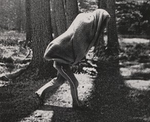 Hiding Figure 2