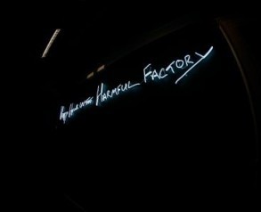 Annabel McCourt, Electric Fence. Photograph by Patrick Mateer. Copyright The Collection Museum, 2021