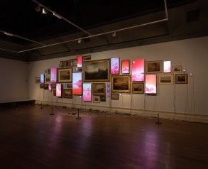 Evan Roth’s Red Lines with Landscapes at the Usher Gallery, 2019. Photograph by Jules Lister