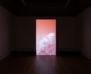 Evan Roth’s Red Lines with Landscapes at The Usher Gallery, 2019. Photograph by Jules Lister
