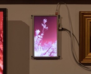 Evan Roth’s Red Lines with Landscapes at the Usher Gallery, 2019. Photograph by Jules Lister