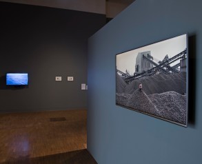 The curator is stuck, Matthew Chesney
