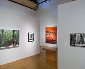 Charter of the Forest