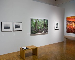 Charter of the Forest