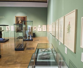 Joseph Banks: A Great Endeavour