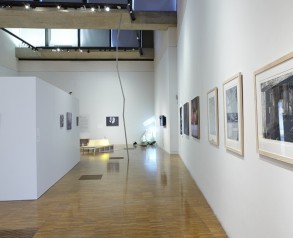 Gallery View