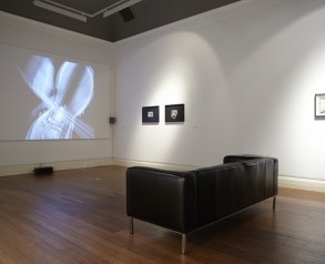 Gallery View
