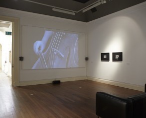 Gallery View
