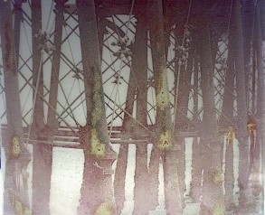 Under the Pier