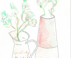 Portraits, Still Life and Landscapes 13