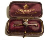 Imp brooch with diamonds and rubies on a gold bar, made by James Usher & Son in the Usher Gallery collection