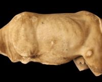 Roman marble bull, left side