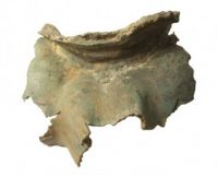 Roman equestrian statue - neck and mandible fragment